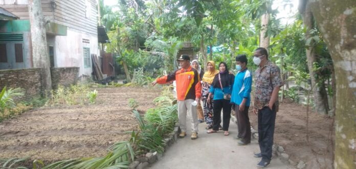 foto:Plt Walikota Tanjungbalai tinjau tanaman yang dikelola PKK