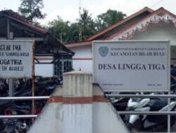 Pengadaan 1.600 Batang Bibit Tanaman Buah-Buahan di Desa Lingga Tiga Dibeli Melalui Agen
