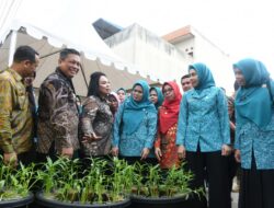 Pj Walikota Tebingtinggi Dampingi Pj Ketua TP PKK Provinsi Sumut Lakukan Kunjungan Posyandu dan Gerak Tanam Cabai