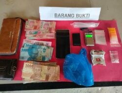 Diduga Sering Transaksi Sabu di Dapur Rumahnya, Pria 35 Tahun Diringkus Polisi