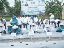 Bupati Asahan Dampingi Pj Gubernur Sumatera Utara Tanam Cabai di Desa Serdang