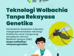 Nyamuk Wolbachia Terbukti Berhasil Turunkan Kematian Akibat DBD