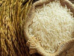 Kabar Baik, Harga Beras Diperkirakan Turun