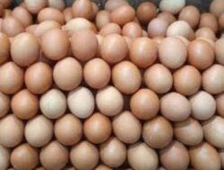 Harga Telur Ayam Naik Meskipun Tidak Serentak, Diproyeksikan Akan Turun Karena Ini