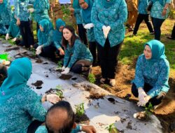 Memperingati HKG PKK ke-52, TP PKK Kota Medan Ikut Lakukan Penanaman Cabai secara Virtual