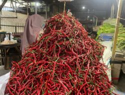 Harga Cabai Merah Anjlok Sentuh 15 Ribu, Bawang Merah Meroket