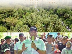 Pemerintah Siapkan Lokasi Relokasi Bagi Korban Erupsi Gunung Ruang