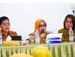 Plt Bupati Labuhanbatu Harapkan Prevalensi Stunting Turun Sesuai Harapan
