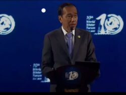 Presiden Ajak Seluruh Pihak Sukseskan Perayaan HUT Kemerdekaan RI ke-79 di IKN