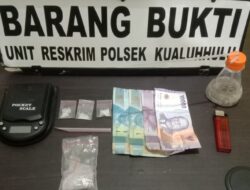 Warga Asahan Diduga Edar Narkoba di Labura Ditangkap Polsek Kualuh Hulu