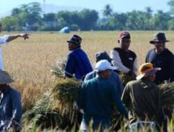 AMANAH Dukung Upaya Presiden Jokowi Kembangkan Kompetensi Pemuda pada Pertanian