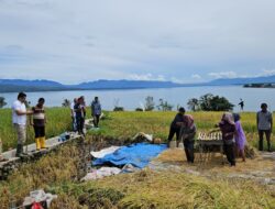 Petani di Balige Curhat Sama Bobby Nasution, Soal Pupuk Hingga Infrastruktur