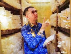 Pjs Bupati Labuhanbatu Kunjungi Bank Sampah dan Budidaya Jamur Tiram