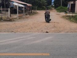 Pengaspalan Jalan Menuju Kawasan Pariwisata Terpadu Tambunan Lumban Pea Belum Dianggarkan