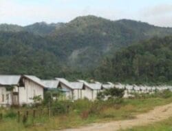 Transmigrasi Lokal dan Pasar Modern Jadi Upaya Pemerintah Wujudkan Revitalisasi Ekonomi Papua