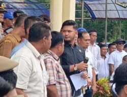 Ratusan Honorer di Palas Gelar Aksi Demo, Tuntut Diangkat Jadi P3K