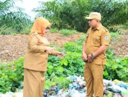 Plt Bupati dan Sekretaris DLH Kabupaten Labuhanbatu Tinjau Lokasi Timbunan Sampah