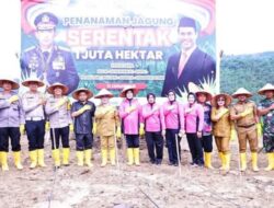 Pemkab Labuhanbatu Dukung Program Nasional Penanaman Sejuta Hektar Jagung