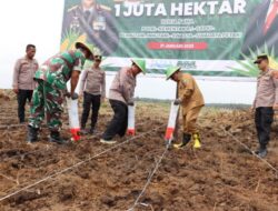 Polres Labuhanbatu Dukung Ketahanan Pangan Nasional, Tanam Jagung Serentak 1 Juta Hektare