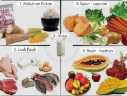 Pemerintah Dorong Partisipasi Pemda Sukseskan Program Makan Bergizi Gratis