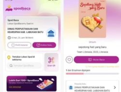 Aplikasi Spod Baca Dinas Perpustakaan dan Kearsipan Labuhanbatu Diduga Berisi Ebook Curian Milik Tereliye, Habiskan Anggaran Rp 816 Juta 