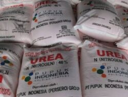 Transformasi Pupuk Subsidi di Era Presiden Prabowo, Petani Tak Lagi Terhambat Regulasi