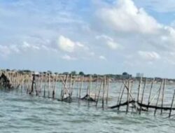 Pemerintah Tindak Tegas Pelaku Pemasang Pagar Laut 