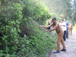 Sambut HUT ke-26 Toba, Pemkab Libatkan ASN Gotong Royong di Dolok Tolong