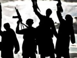 Menolak Aksi Indonesia Gelap yang Mengancam Stabilitas Nasional