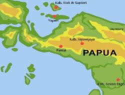 Pemerintah Bentuk Tim Gabungan untuk Lindungi Taman Nasional Tesso Nilo