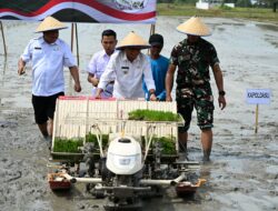 Gerakan Tanam Padi Serentak