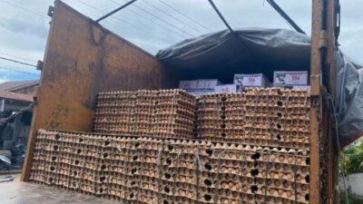Polres Nias Amankan Truk Pengangkut Telur Ayam Diduga Tanpa Dokumen Karantina