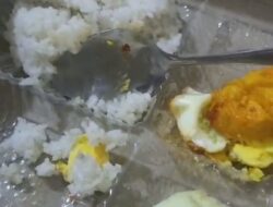 Peserta Disuguhi Nasi Putih Pakai Telur dan Timun, Kasi Trantib Bilang Standar Harga Nasi Kotak Rp 47 Ribu