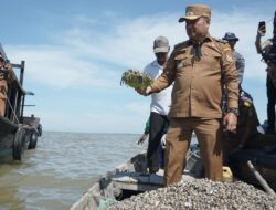 Bantu Perekonomian Nelayan Silo Baru, Wakil Bupati Asahan Tabur Benih Kerang Dara