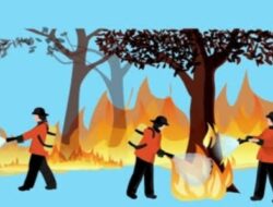 Tanggap Dini Pemerintah Kendalikan Titik Panas Guna Cegah Karhutla