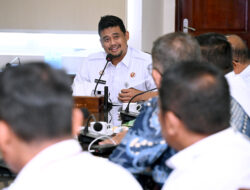 Kembalikan Kejayaan Jeruk Karo,Bobby Nasution Putuskan Intervensi Penanganan Hama Lalat Buah Secara Masif
