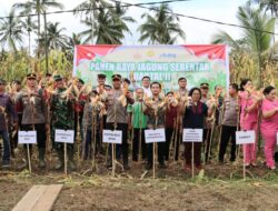 Kapolres Nias dan Dandim Hadiri Panen Jagung di Gunungsitoli