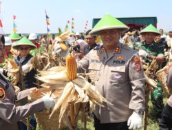 Polres Labuhanbatu Gelar Panen Raya Jagung Serentak
