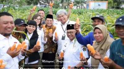 Dukung Ketahanan apangan, Dirjen Penataan Agraria Panen Raya Jagung di Desa Soso, Blitar