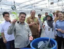 Bupati Asahan Dampingi Plt Dirjen Perkebunan Kementan RI Tinjau Lokasi Cetak Sawah di Desa Silo Bonto