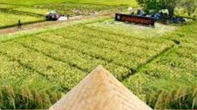 Pemerintah Pastikan Tahun 2025 Jadi Pencapaian Bersejarah Swasembada