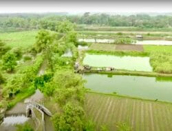 Hilirisasi Hasil Hutan Rakyat Gerakkan Ekonomi Desa dan Konservasi Alam