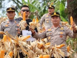 Kapolres Nias Hadiri Panen Jagung Serentak Quartal III Via Zoom Bersama Kapolri