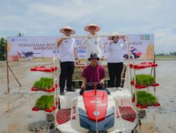 Bank Indonesia dan Pemkab Deli Serdang-Langkat Kolaborasi Kembangkan Klaster Padi untuk Ketahanan Pangan