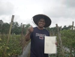 96 Persen Penertiban Tanah Telantar Dialokasikan untuk Reforma Agraria