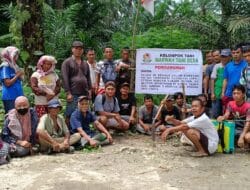 Kelompok Tani “Marwah Tani Desa” Kelola HPK Seluas 142 Hektar