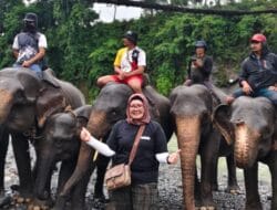 Tengku Feria Aznita: Tangkahan Alami, Bukit Lawang Edukatif — Destinasi Tepat untuk Adventure Tourism Sumatera Utara