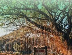 Menteri ATR/BPN Tegaskan Perlindungan Lahan Sawah dalam Rapat Koordinasi Tata Ruang dan Pertanahan di Jawa Barat