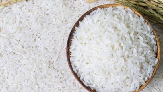 Dari Target 4 Tahun Jadi Realitas 1 Tahun: Swasembada Beras Jadi Bukti Keberhasilan Kebijakan Pangan