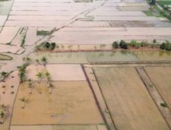 Skema Padat Karya dan Rehabilitasi Sawah Dipercepat untuk Pulihkan Penghidupan Pascabencana